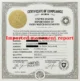 Rolex , 41 mm,  M134300-0004,Oyster Perpetual - Image 2